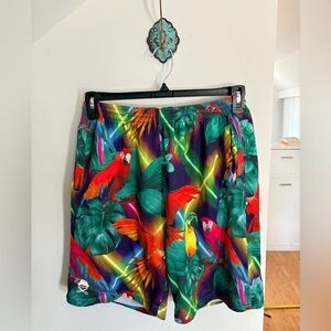 Tropical Parrot Print Men’s Shorts - Green Multi